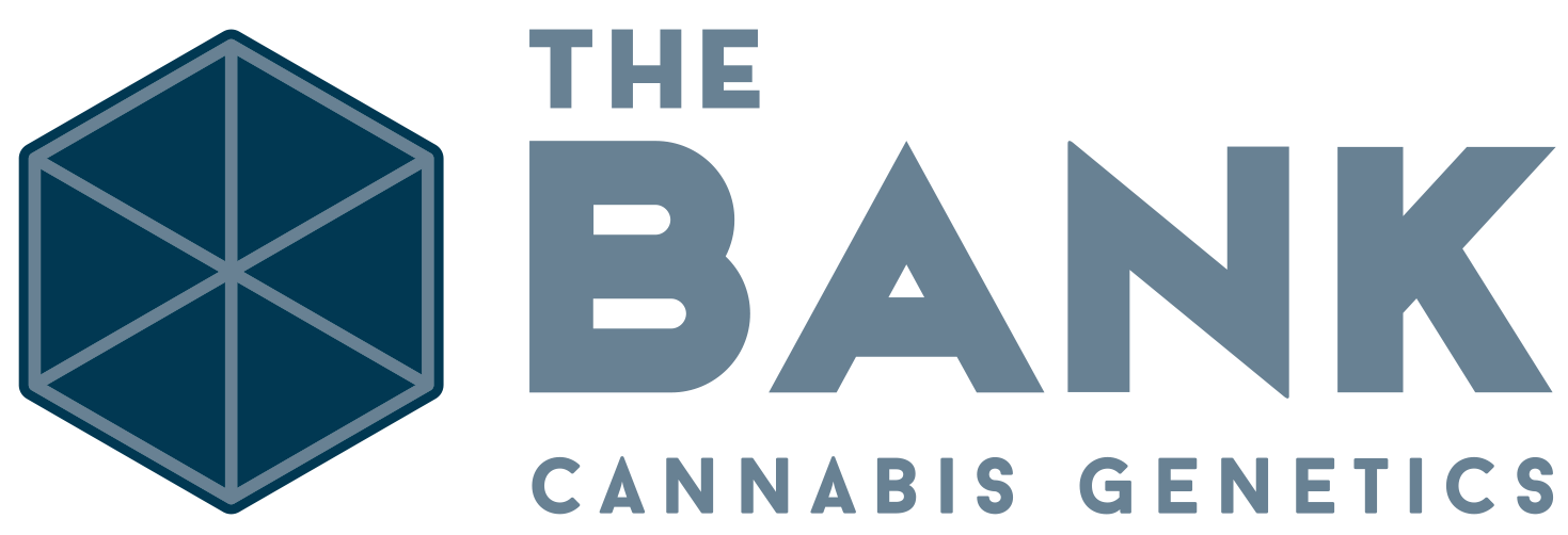 The Bank Cannabis Genetics